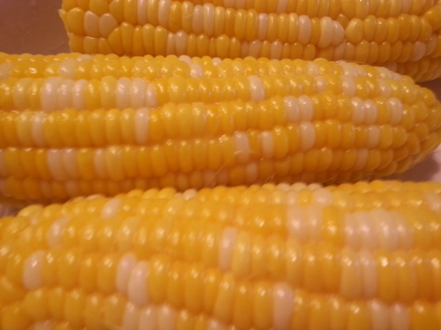 RAW CORN ON THE COB — SUPERSWEET AND TASTY!!!