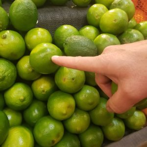 to show a thin skinned lime