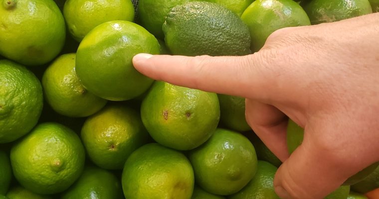 Juicy and Fresh! That’s the lime you want!